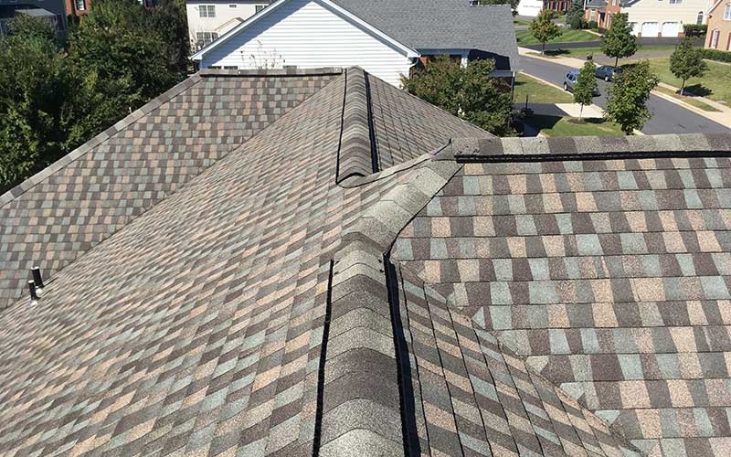 Residential Shingle Installation
